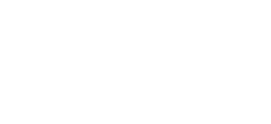 Skylark logo